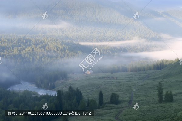 森林晨霧