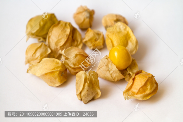 酸漿