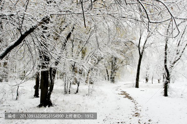雪景