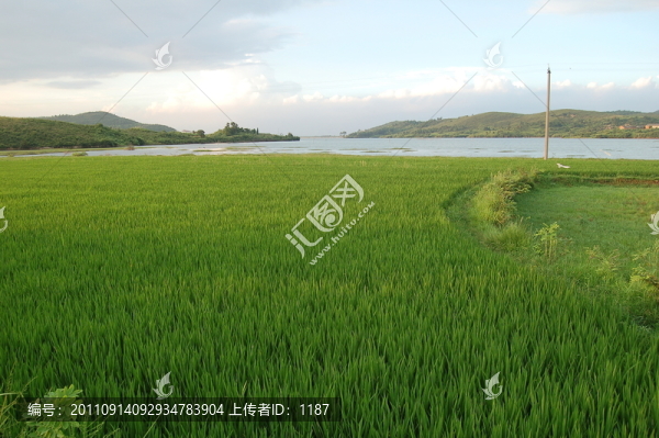 田園風光