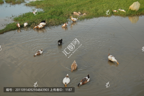 田園風景