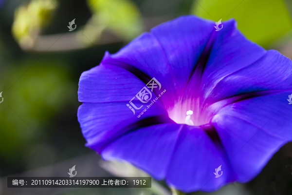 牽?；? title=