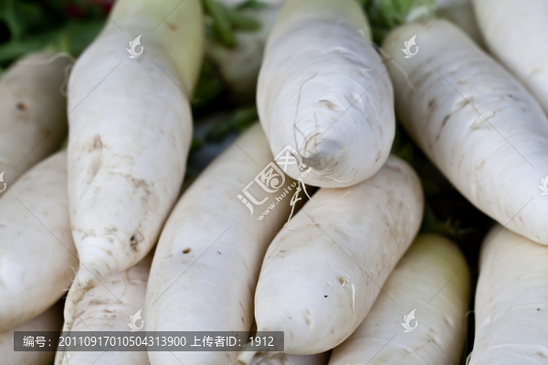 清蘿卜
