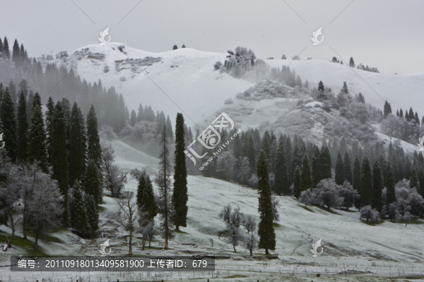 春雪