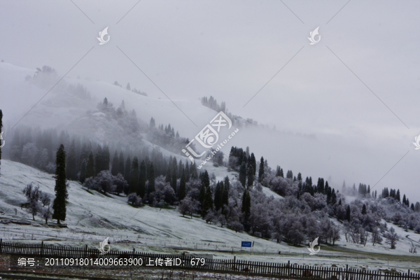 春雪