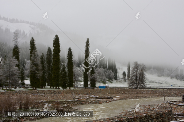 春雪