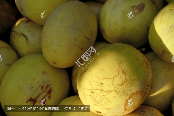 哈密瓜