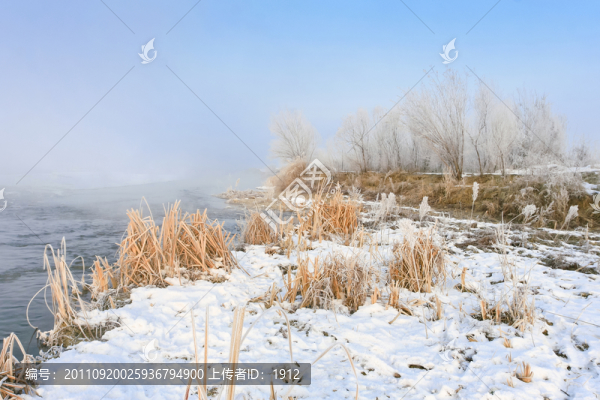 冬雪