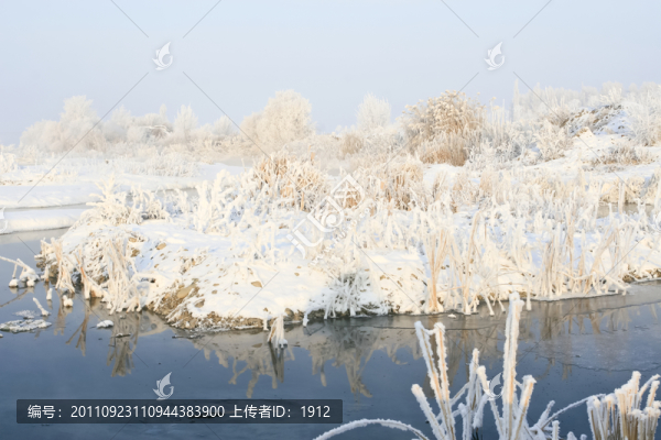 雪