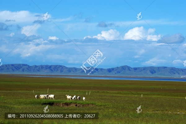 青海湖自然風光