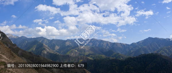 青山