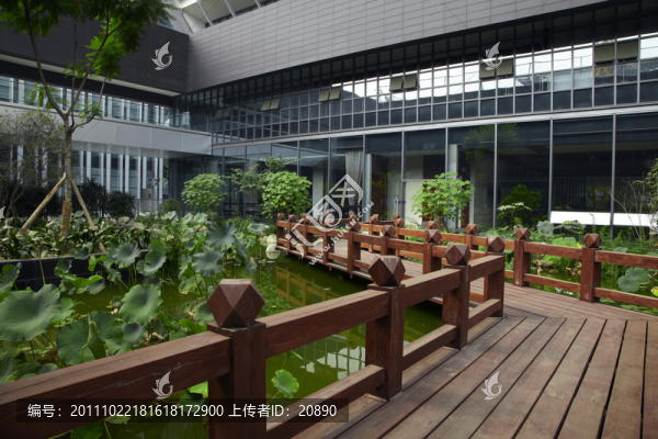 中庭水池園林景觀