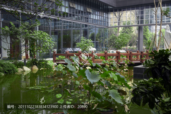 中庭水池園林景觀
