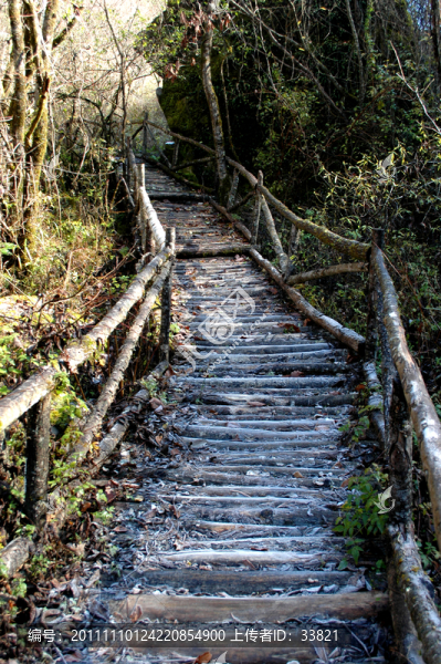 田野小路
