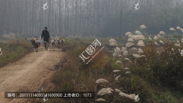 鄉(xiāng)村土路牧羊人