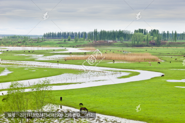 草原風(fēng)光