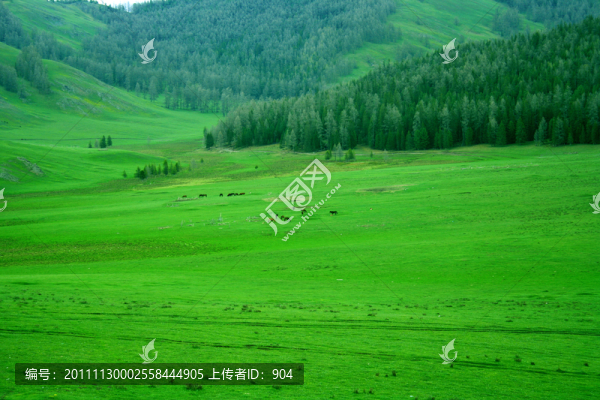 阿勒泰風光
