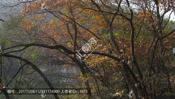 深秋湖畔,深秀湖畔