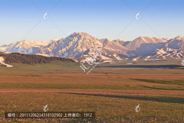 雪山,草原