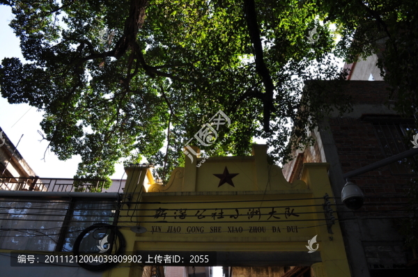 小洲村榕樹(shù)