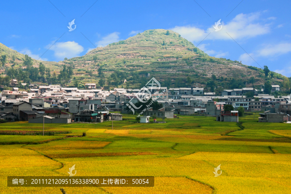 安順屯堡,雷家屯秋色