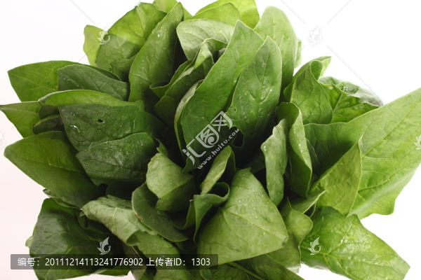 蔬菜