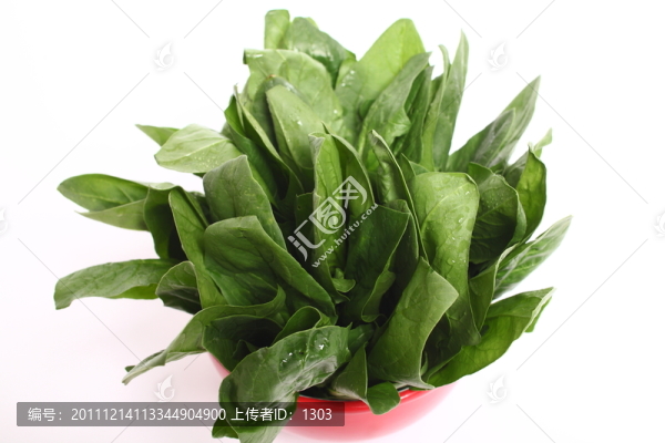 蔬菜