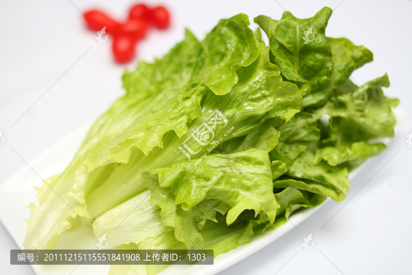 生菜