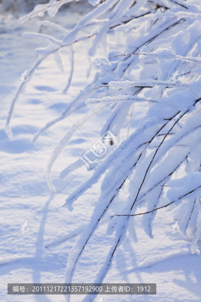 雪