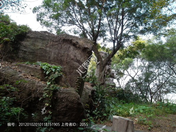 蓮峰觀海,蓮花山