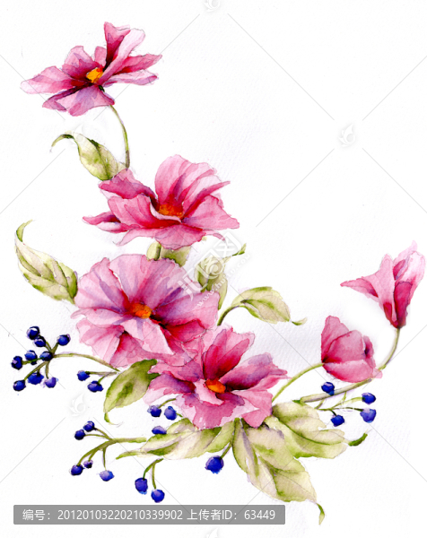 水彩花卉（未分層）
