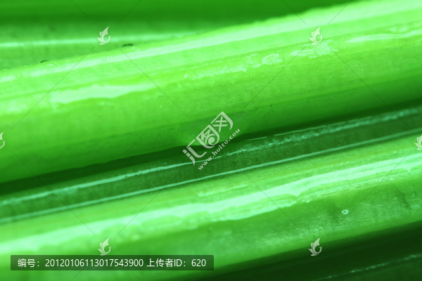 芹菜