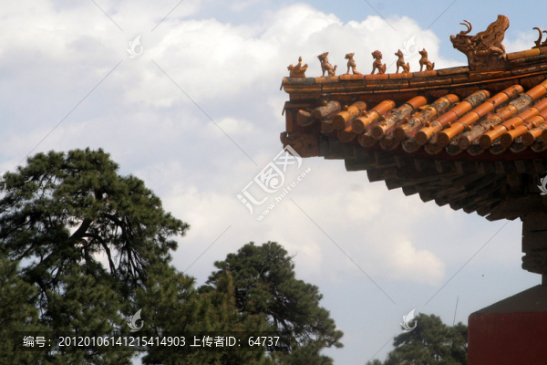 宮殿屋頂與大樹(shù)