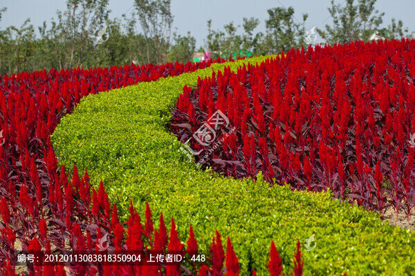 花壇
