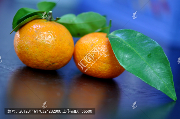 蜜桔