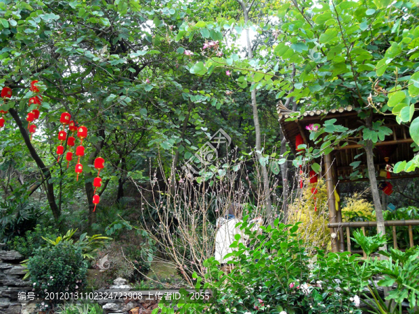 云臺花園,園林景觀