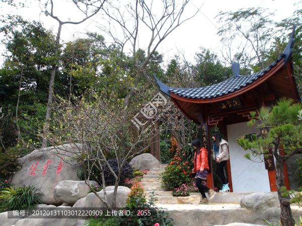 云臺(tái)花園,園林景觀