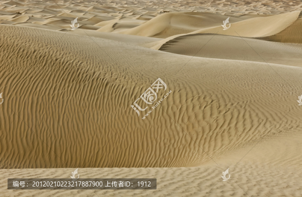 沙漠