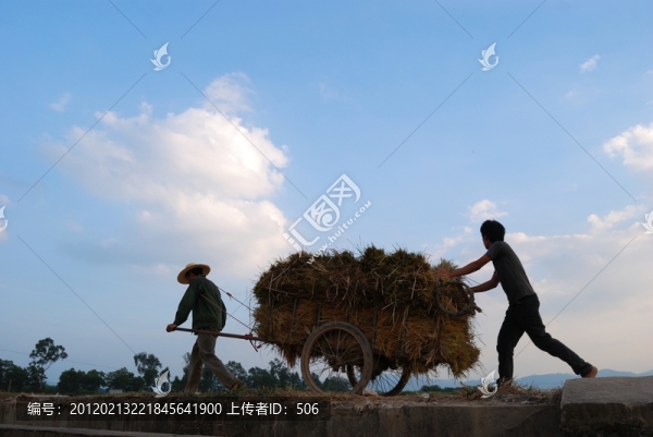 秋收時節(jié)