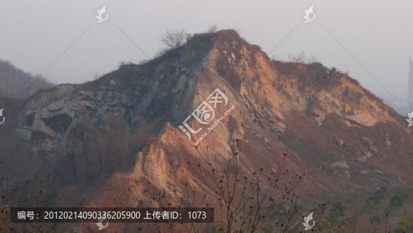 荒嶺朝霞