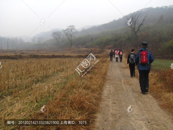 行進在田野