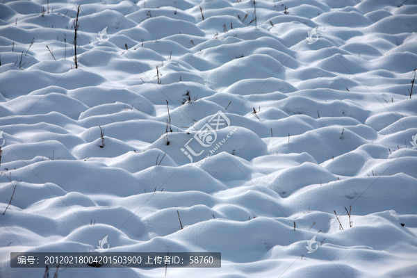 雪地光影