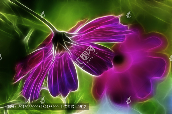 野花