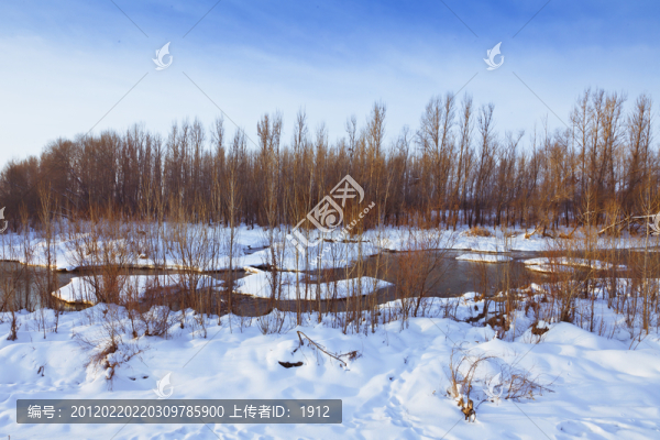 冬雪