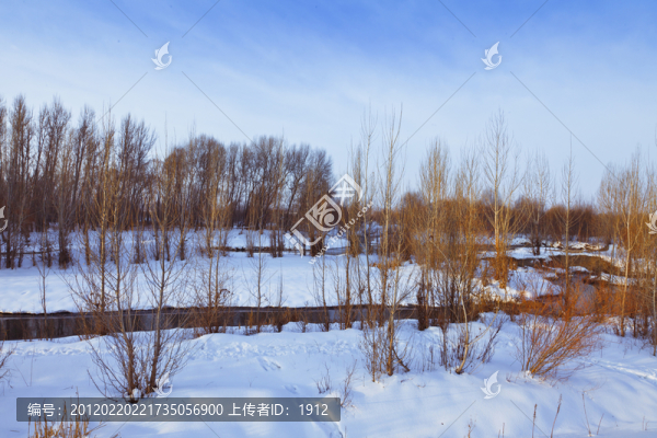 冬雪