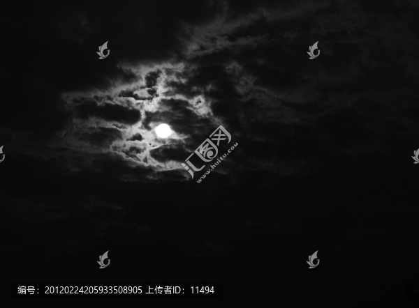 日光