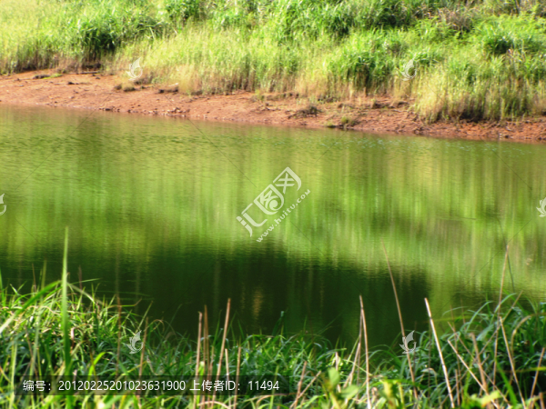 青山綠水