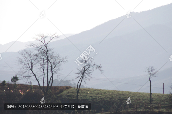 農(nóng)村