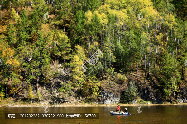 大興安嶺,秋季森林