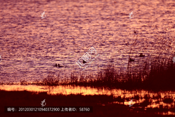 輝河濕地